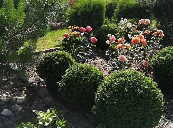 Centrum Wypoczynkowe Complex *