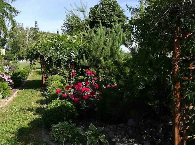 Resort Centrum Wypoczynkowe Complex