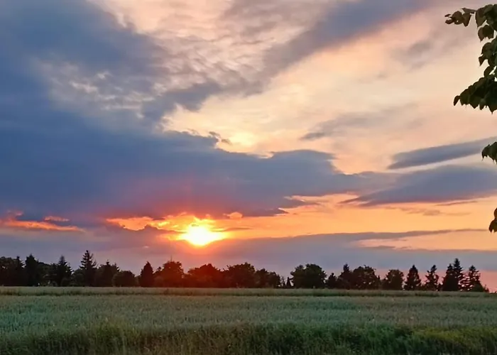 Centrum Wypoczynkowe Complex *